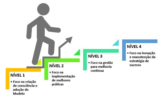 Níveis de maturidade das Instâncias da Rede BVS
