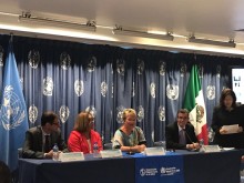 Mex1-1-220x165