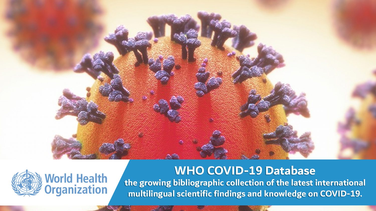 who-covid19 database